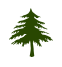 Logging_Insurance
